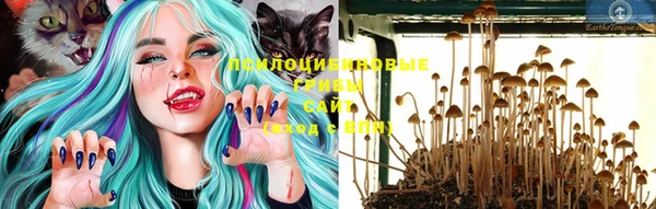 MESCALINE Ельня