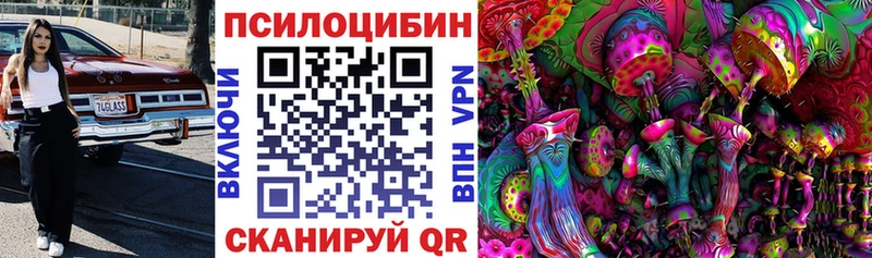 Галлюциногенные грибы Cubensis  Новоржев 